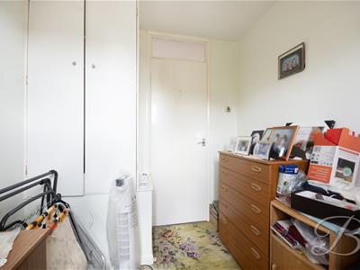 Picture 25